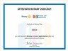 apri l'immagine in popup